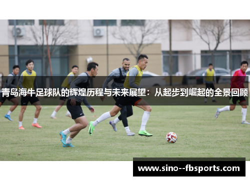 青岛海牛足球队的辉煌历程与未来展望：从起步到崛起的全景回顾